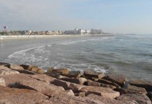 Experts in Things To Do in Galveston